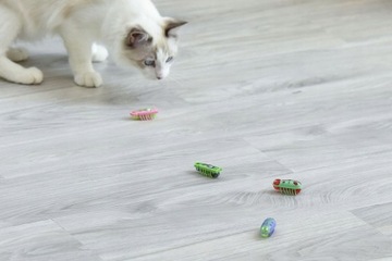 2x таракан-червь, насекомое, похожее на Hexbug La Cucaracha, игрушка для кошек, 4 батарейки