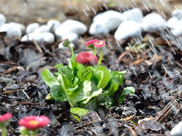 Спринклерная и ирригационная система для сада Royal Gardineer