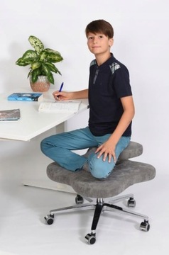 Fotel DragonflyChair Dragonfly Classic, standard size, krzesło ortopedyczne