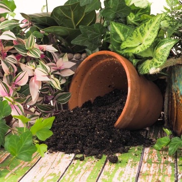 Субстрат MIX - Почва - Для ЗЕЛЕНЫХ Растений ПРЕМИУМ Green Paradise Mixure