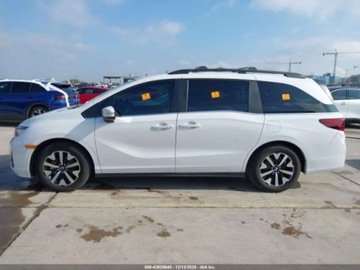 Honda Odyssey IV 2025 Honda Odyssey Ex-L 2025 3.5 Benzyna 280KM, zdjęcie 2