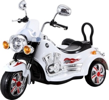 3-КОЛЕСНЫЙ МОТОР С АККУМУЛЯТОРНОЙ КОРЗИНОЙ 2x45 Вт