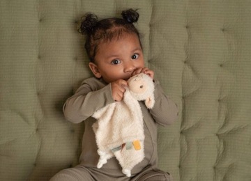 ОВЕЧНАЯ ФЕРМА МАЛЕНЬКИЙ ГОЛЛАНДСКИЙ