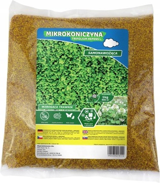 MIKROKONICZYNA DROBNOLISTNA KONICZYNA WZBOGACA TRAWNIK NASIONA 800M2 1KG