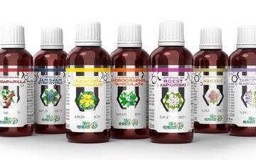 B&M rozszerzony PROTOKÓŁ BUHNERA | LIPOSOMALNY zestaw 7 x 50 ml | BORELIOZA