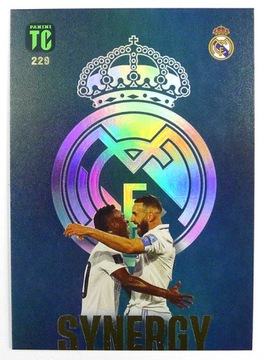 TOP CLASS 2023 SYNERGY SYN Vinicius Benzema 229
