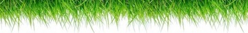 Семена регенеративных трав SOS LAWN 1 кг BARENBRUG