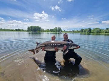 Бойлы SPRAY RaFish 16/20mm HOKED DIPED