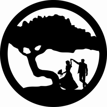 Drzewo życia BONSAI mech chrobotek 30 GRUBE 6mm