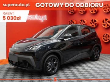 BYD Sealion 7 2025 BYD Dolphin Surf Boost Hatchback (88 KM) 2025