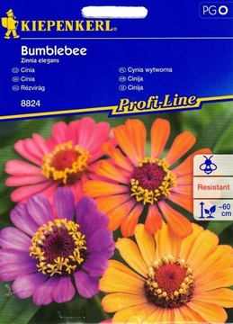 Kiepenkerl nasiona Cynia wytworna Bumblebee