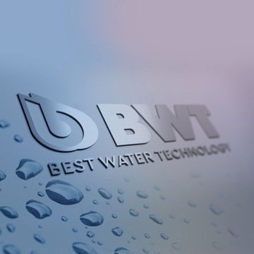 Механический фильтр BWT Europafilter WF 1 дюйм