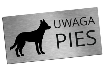 Tabliczka Uwaga Pies plexi srebrna 8x16cm inox