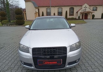 Audi A3 8L Hatchback 1.6 i 102KM 2003 Audi A3 3-drzwiowe Zarejestrowany - ubezpieczony - 1,6 - LPG 1.6 102KM, zdjęcie 1