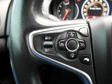 Opel Insignia I Country Tourer 2.0 CDTI Ecotec 163KM 2013 Opel Insignia Kamera Xenon Nawigacja Led 2.0 Diesel 163KM, zdjęcie 30