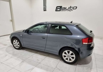 Audi A3 8P Hatchback 3d 1.9 TDI 105KM 2008 Audi A3, zdjęcie 4