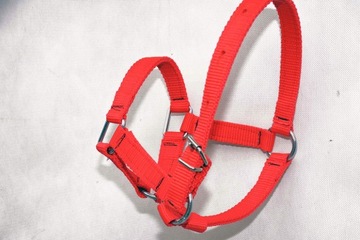 НЕДОУЗКА МИНИ-ПОНИ ИЗ ЛЕНТЫ - ПРОЧНАЯ