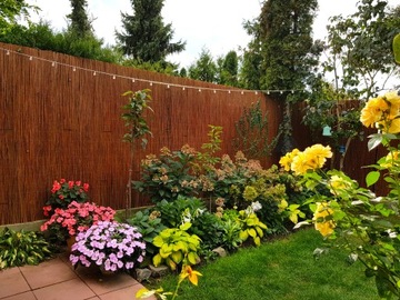 MATA WIKLINOWA 180x500cm, GĘSTA, POLSKI PRODUCENT