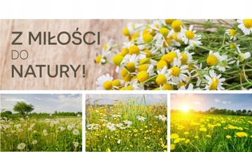 Perz kłącze BIO 50g Runo CERTYFIKAT EKOLOGICZNY