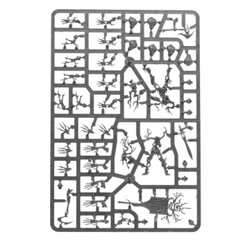 Древесные призраки Сильванет, Warhammer Age of Sigmar