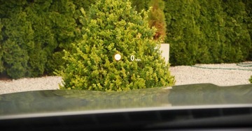 BMW Seria 5 F10-F11 Limuzyna Facelifting 520d 190KM 2016 BMW Seria 5 (nr. 109) 2.0 190KM Nawigacja Tempomat Parktronik Klima Gwaran, zdjęcie 34