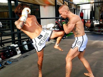 ŁAPY TRENERA TARCZE TRENINGOWE BOKSERSKIE SKÓRA NATURALNA BUSHIDO 2 SZTUKI