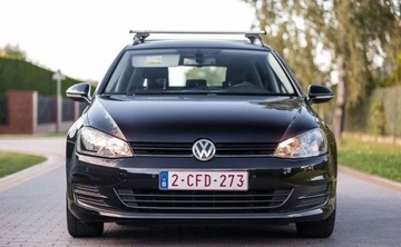 Volkswagen Golf VII Variant 1.6 TDI BlueMotion  110KM 2015 Volkswagen Golf Volkswagen Golf 1.6 Diesel 110KM, zdjęcie 7