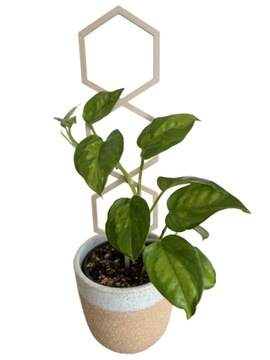 Опоры для цветов, растений, лестничная опора, пергола HEXAL M - 31см