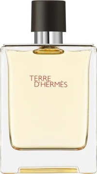 Hermes Terre d´Hermes EDT 100 ml