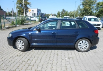 Audi A3 8P Hatchback 3d 1.9 TDI 105KM 2006 Audi A3 Sportback Audi A3 II (8P) sportbag 1.9 Diesel 105KM, zdjęcie 7