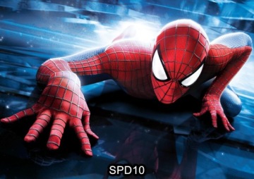 Вафли для торта SPIDERMAN Вафли для украшения торта SPIDERMAN на день рождения печать A4