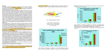 RayGuard Mineral Card 5G против радиации