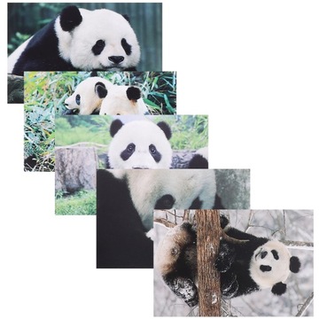 ОТКРЫТКА С ЖИВОТНЫМИ УВЕДОМЛЕНИЯ КАРТОЧКА ПАНДА