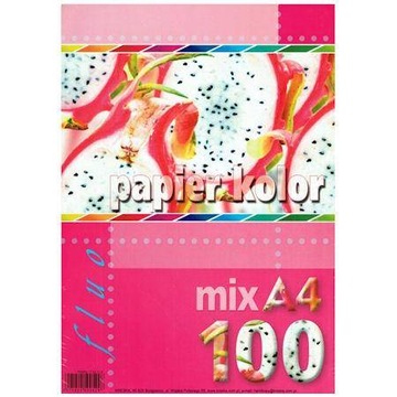 Papier ksero A4 80g 100 arkuszy fluo MIX