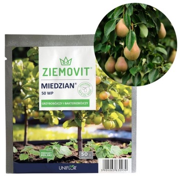 MIEDZIAN 50 WP ŚRODEK GRZYBOBÓJCZY I BAKTERJOBÓJCZY DO DRZEW OWOCOWYCH 50G