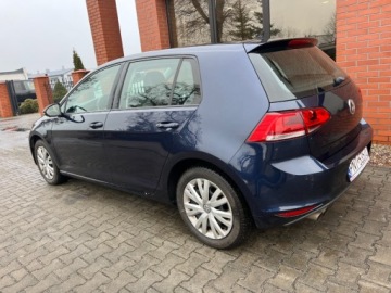Volkswagen Golf VII Hatchback 3d 1.4 TSI BlueMotion Technology 150KM 2016 Volkswagen Golf 1.4 benzyna 150 KM zarejestrowany w PL zadbany mozliwa, zdjęcie 2