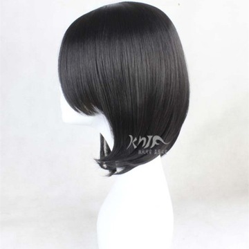 Animation Attack On Titan Mikasa Ackerman Wig