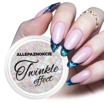 OZDOBY PYŁEK DO PAZNOKCI TWINKLE EFFECT PŁATKI DROBINY