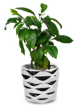 СОВРЕМЕННАЯ КЕРАМИЧЕСКАЯ КРЫШКА ДЛЯ ЦВЕТОЧНОГО ВАЗОНА 12,5 СМ