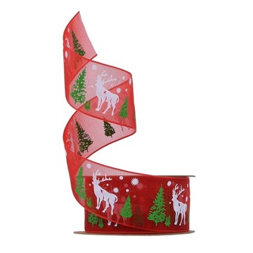 Festive Transparent Satin Ribbon