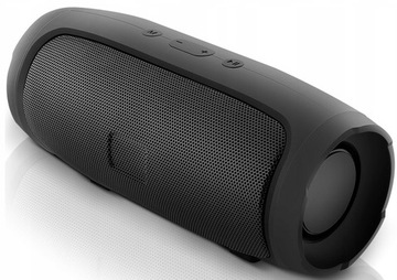 ПОРТАТИВНОЕ БЕСПРОВОДНОЕ FM-РАДИО С Bluetooth-ДИНАМИКОМ