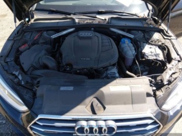 Audi A5 F5 2019 Audi A5 Sportback 2019 AUDI A5 45 PREMIUM 2.0 Benzyna 248KM, zdjęcie 9