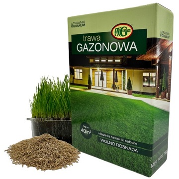 TRAWA Ogrodowa Dekoracyjna Gazon Wolno Rosnąca 1kg