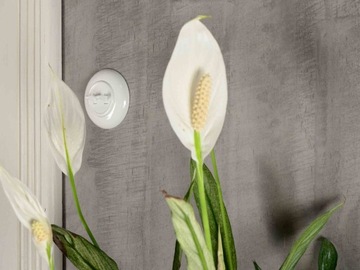 РАМКА ЛОФТ РЕТРО ТРОЙНАЯ 227x85мм БЕЛАЯ JLM