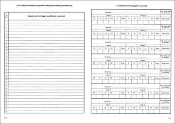 Журнал уроков - Профессиональная школа I уровня