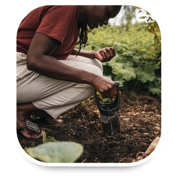 Ручная сеялка для луковиц и рассады чеснока.