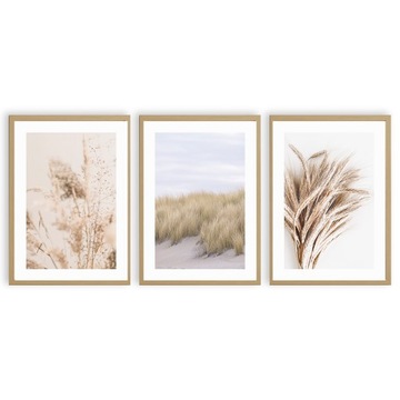 PLAKAT A4 MODNY ZESTAW BOHO OBRAZ TRZCINA NATURA
