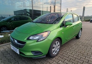 Opel Corsa E Hatchback 3d 1.4 Twinport 90KM 2016 Opel Corsa 1.4 90KM Salon PL Vat marza Klimatyzacja Tempomat 1.4 Benzyna, zdjęcie 2