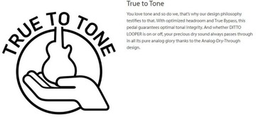 Гитарный эффект - TC Electronic Ditto Looper