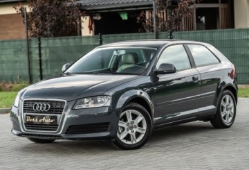 Audi A3 8P Hatchback 3d 1.6 TDI 105KM 2010 Audi A3 3-drzwiowe 1.6TDI 105KM DsG Skora Climatron Alu Po Serwisie Gwaran, zdjęcie 5